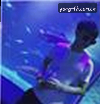 刘洋